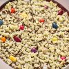 Jelly Bean Jumble chocolate pizza up close